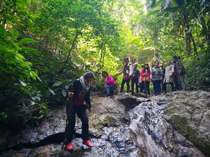 版纳：热带雨林里的“深度”体验（其实彳艮表面）