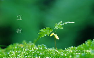 2026年立春是哪一天，立夏又是哪一天呢？