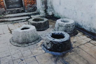 一、 林臻娅和林青潼事件：表象下的疑点