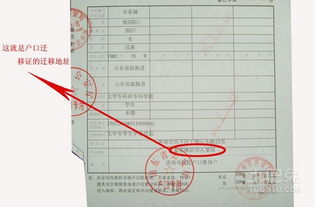 二、 生肖运势概述及其文化底蕴内涵