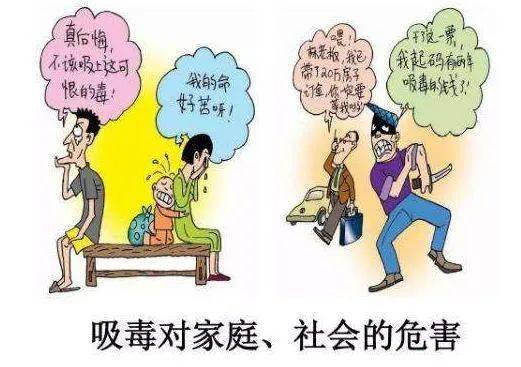 3.3 社会环境因素与个人主动性的交互作用