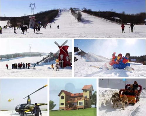 震惊！2026年西安滑雪场要变天？黄历说这天去能捡钱！