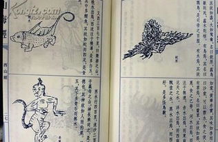 古籍记载中的海中金概念及其隐匿性