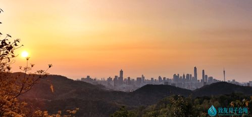 四、案例分析：小说《阅微草堂笔记》中的孔子庙