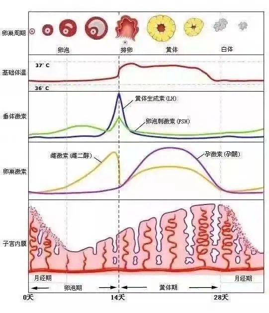 2. 唾液检测：崭新兴技术手段