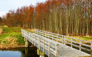 2018年5月18日是哪一天的特殊日子？