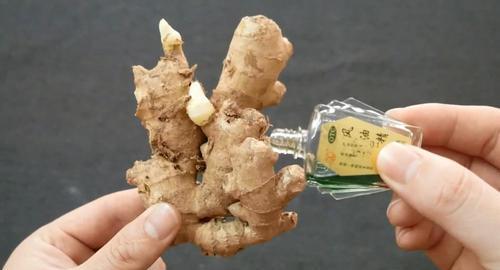 四、 实际应用案例分析——从网络示范到家庭实践的验证路径