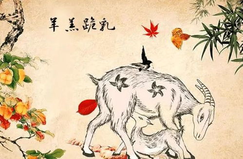A. 财运场景下四位关系解析
