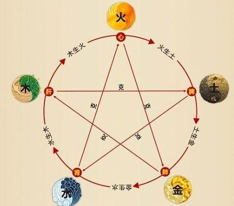 1.2 现代解读：血液循环+情绪管理