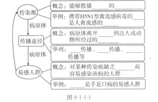 2. 三传与日干关系对运势判断的决定性作用