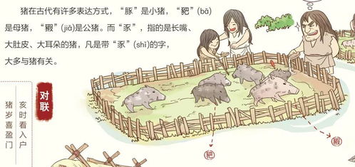 ：在时代洪流中沉淀而来的符号系统——“十二”字谜团仍未解明，却已较深入人心。