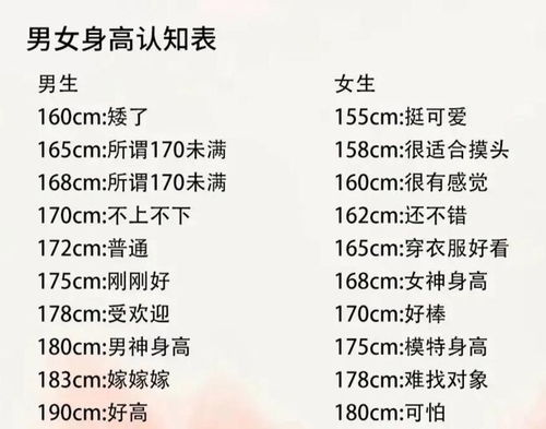 综合列表（摘录）