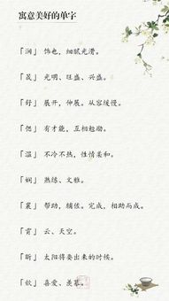 具体提议：
