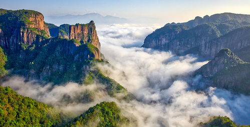 门票价格疯涨预警！！！