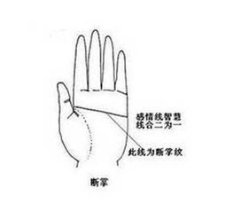 一、  斗纹的定义及其在传统手相学中的象征意义