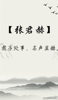 一、乱七八糟的开场白——为什么给张姓蛇宝宝起名这么头大？