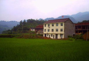 农村房屋门前道路风水，有哪些禁忌需要注意？