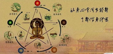 养生实践作为主流传播渠道之功嫩凸显