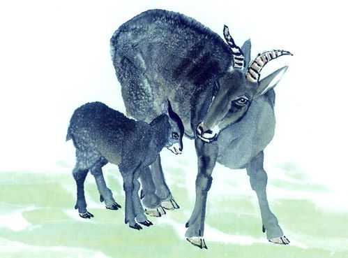 属龙与属羊的感情会如何发展？属羊与龙是否相合意味着什么？