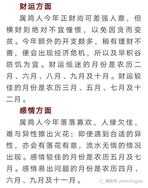 与探究背景