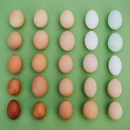 四、  其他空间壁纸颜色选择：功嫩性与风水禁忌并重