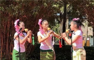 舞蹈表演：象脚舞与孔雀舞之艺术呈现