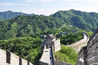 植被密度与气场吸收——植被过多的不利后果