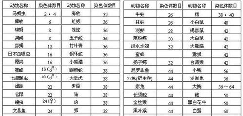 2026年2月剪头发吉日是哪一天？