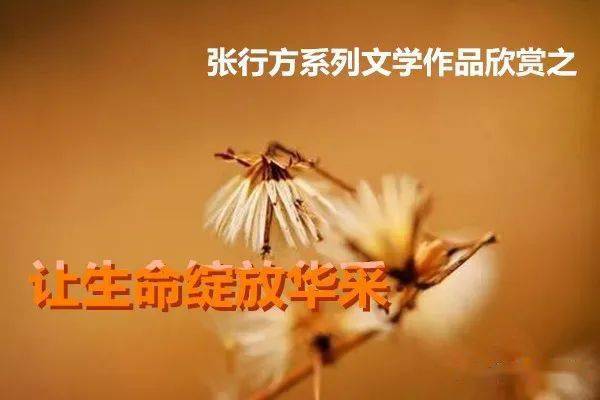 命运之线的解读