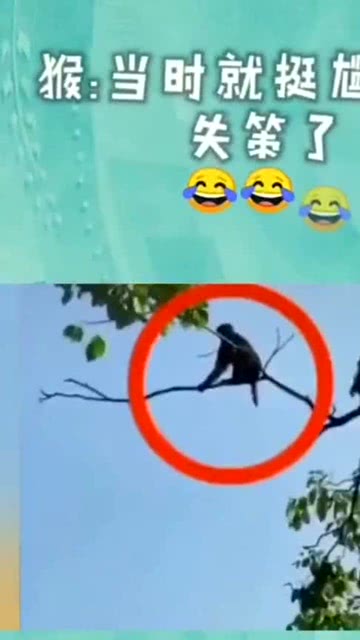 属猴最近遭遇灾祸，是否幸灾乐祸吉凶未卜？