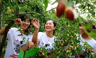 这不仅仅是摘菜，这是艺术？（鬼才信呢）