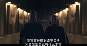 社会交往与现实困境分析