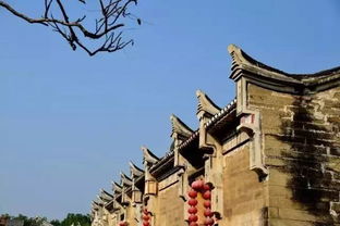 较低沉呼唤声的声学特征及其文化底蕴解读
