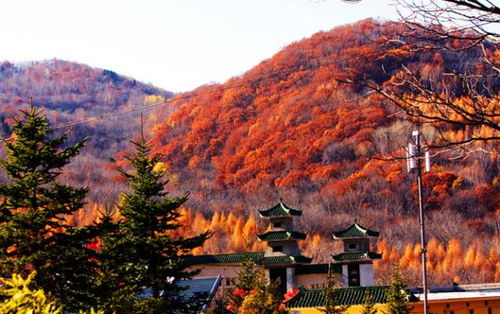 蛟河老爷岭——一个让人又爱又恨的破地方