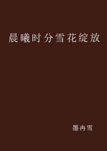 一、 时间段坐标与仪式前置：双十一尾声晨曦中的建筑启幕