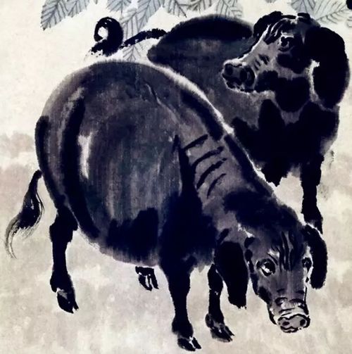 1971年属猪的人桃花贵人是谁？吉凶如何？