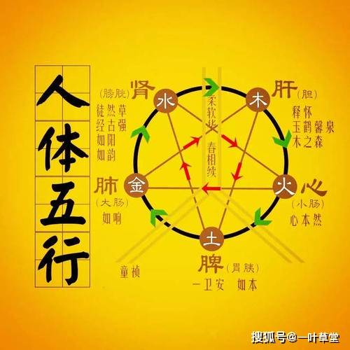 八字中财星生官星，是否意味着财运旺盛却难以承受官职压力？