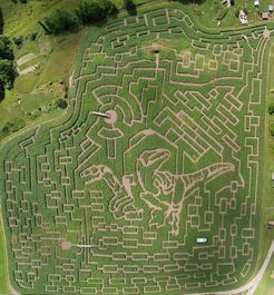 迷失在迷宫一样的栈道里