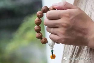 1. 清洁程序的规范性与化学禁忌