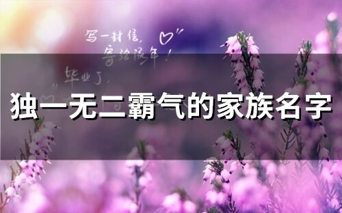 有没有推荐霸气简短且独一无二的女孩家族名字大全？