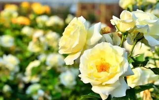 学生党福利！不看后悔一辈子！