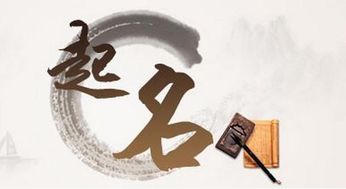 个性化：创造独一无二的名字