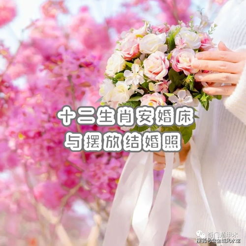 十二生肖婚床与结婚照摆放之风水讲究探究报告