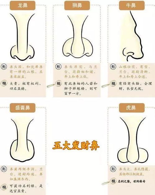 1.1 鼻头痣相：欲望与财富的
