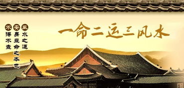 戊申日柱男子为何在事业路上屡遭波折？