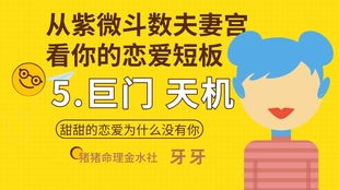 一、 化禄星于夫妇宫之情感特征