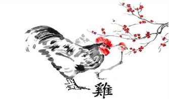 属鸡人在2026年犯太岁吗？如何化解？