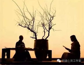 “禅修”这俩字， 一听就是个老派的主儿