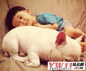 2006年属狗的十月出生宝宝，有没有什么好名字推荐？