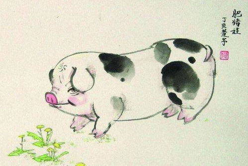 猪年对应的生肖是什么？猪打一生肖的含义是什么？